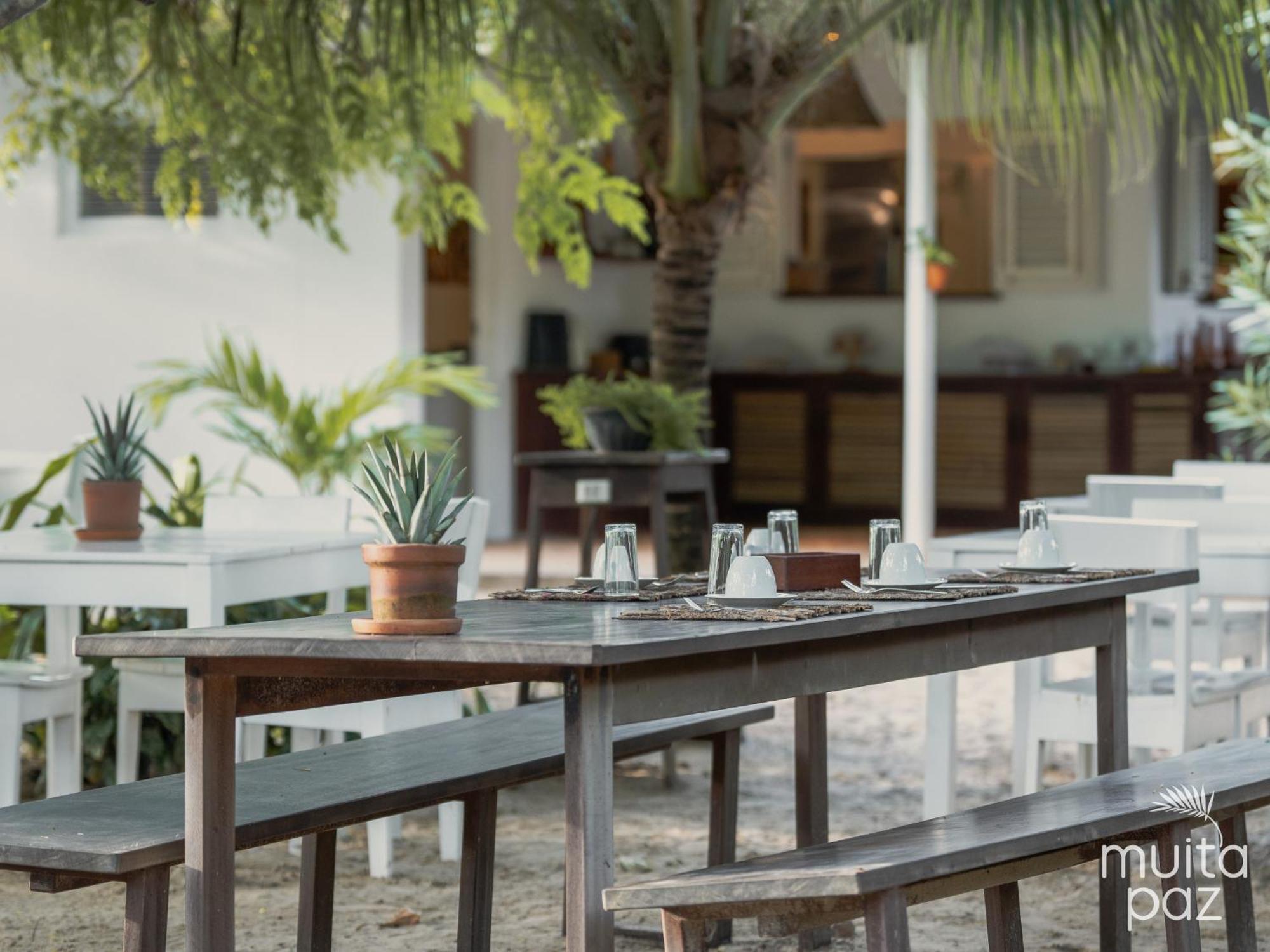 Muita Paz Hotel Atins Ngoại thất bức ảnh